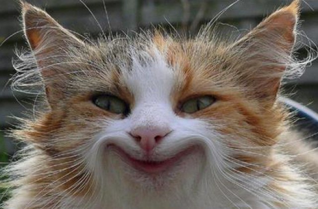 хорошая работа